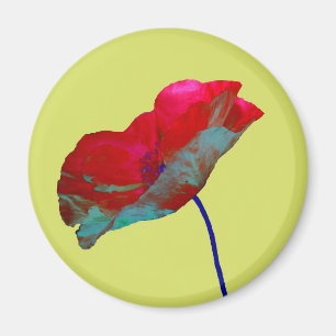 Imán Amarilla azul roja en verde primavera pastel