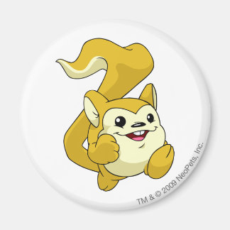 Imán Amarillo de Meerca