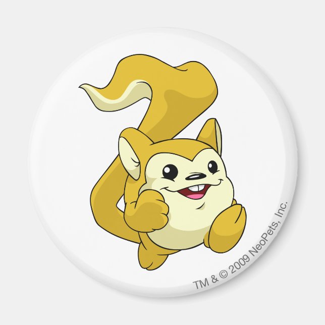 Imán Amarillo de Meerca (Frente)