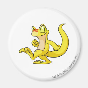 Imán Amarillo de Techo