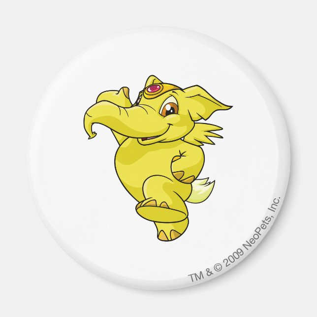 Imán Amarillo elefante (Frente)