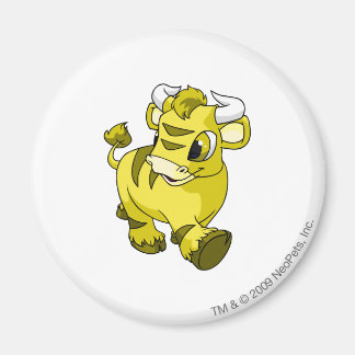 Imán Amarillo Kau