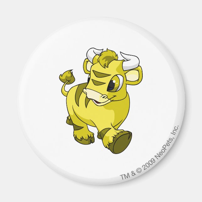 Imán Amarillo Kau (Frente)