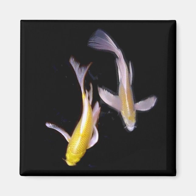 Imán Amarillo Koi Pair (Frente)