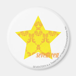 Imán Amarillo-Naranja 3