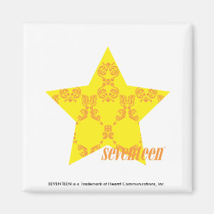 Imán Amarillo-Naranja 3