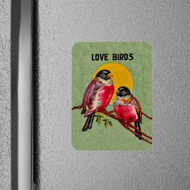 Imán Amarres de amor vintage Sun (Two red love birds sitting together on a branch in front of sun on green frig magnet.)