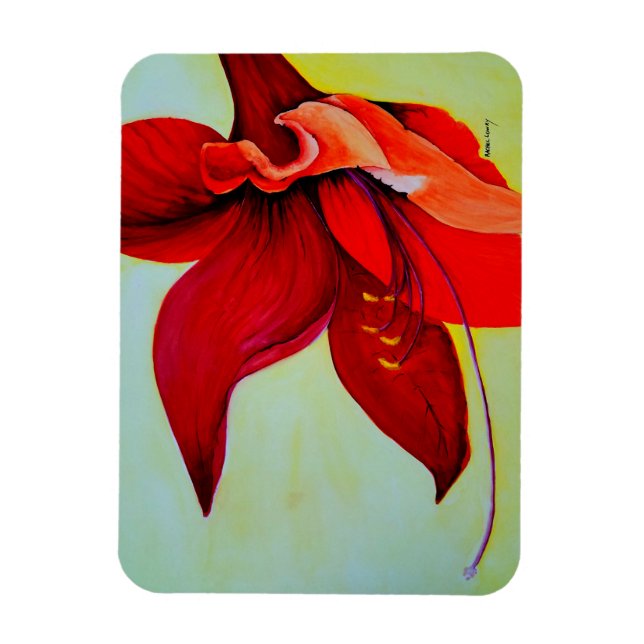 Imán Amaryllis Blossom Magnet (Vertical)