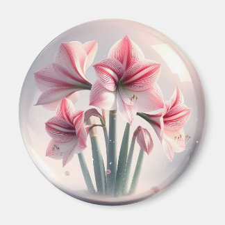 Imán Amaryllis Flores blancas rosas