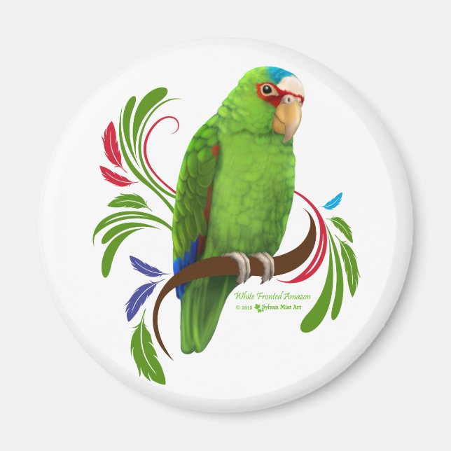 Imán Amazonía con frontis blanca (Frente)