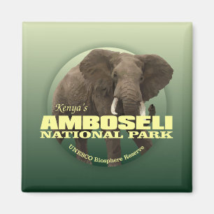 Imán Amboseli NP (Elefante Africano) WT