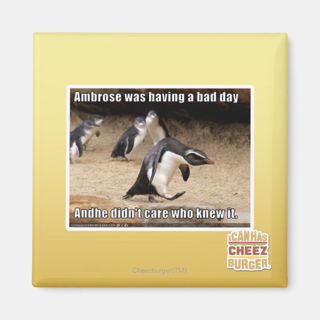 Imán Ambrose estaba teniendo un mal día (Frente)