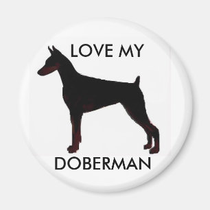 IMÁN AME MI, DOBERMAN