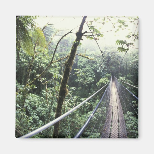 Imán América Central, Costa Rica, Nube Monteverde (Frente)