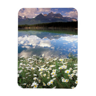 Imán América del Norte, Canadá, Alberta, Banff National