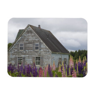 Imán América del Norte, Canadá, Isla del Príncipe Ed