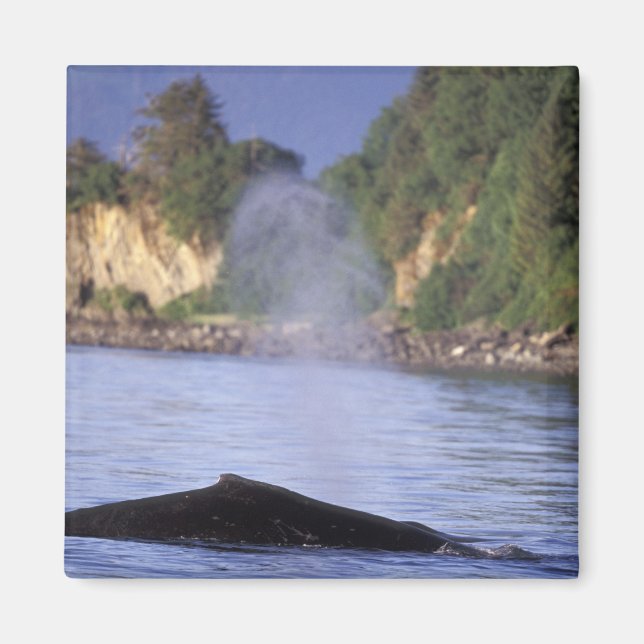 Imán América del Norte, EE.UU., Alaska, Paso interno. (Frente)