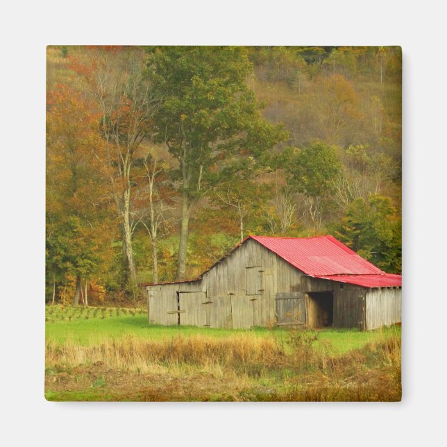 Imán América del Norte, EE.UU., Carolina del Norte, rur (Frente)