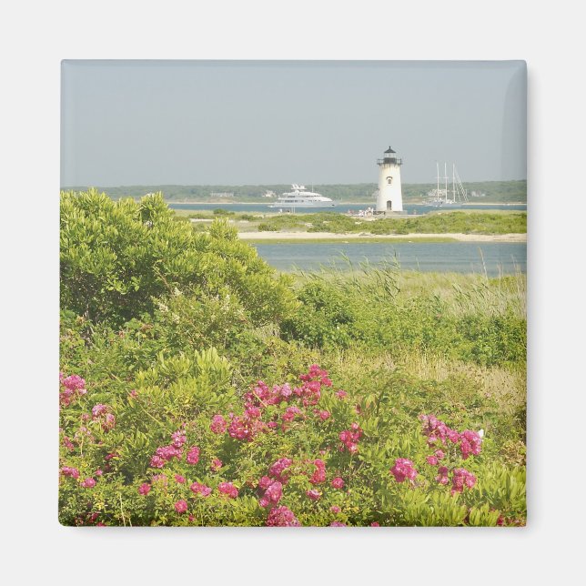 Imán América del Norte, EE.UU., Massachusetts, Martha's (Frente)