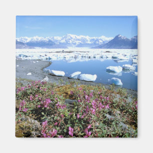 Imán América del Norte, Estados Unidos, Alaska, Prínc