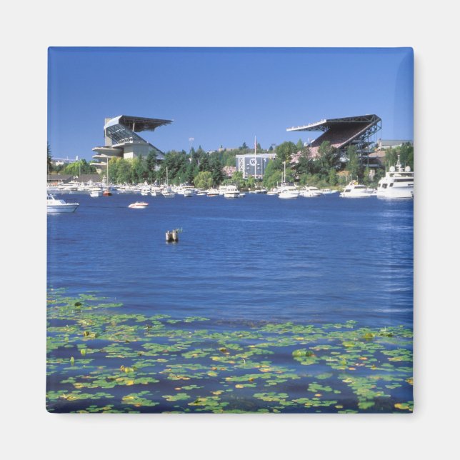 Imán América del Norte, Estados Unidos, Estado de Washi (Frente)