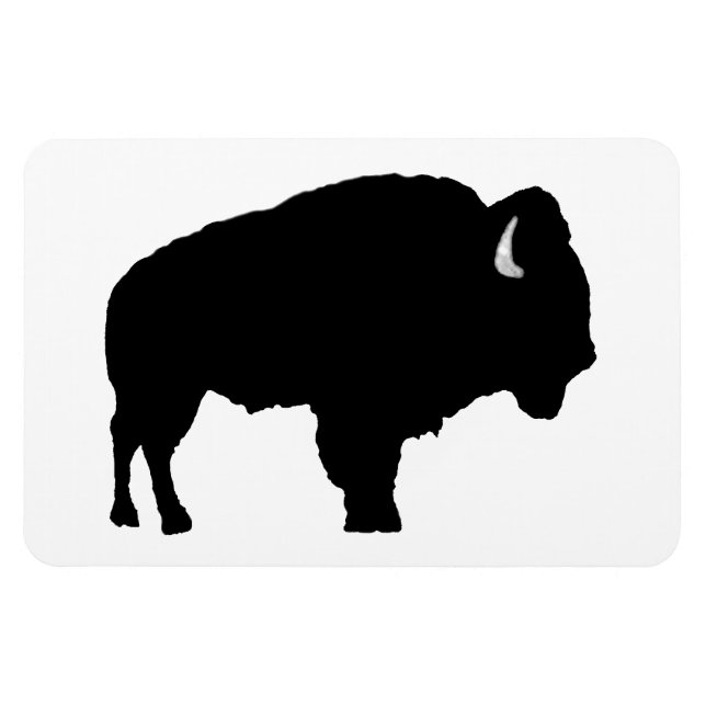 Imán American Bison (Horizontal)