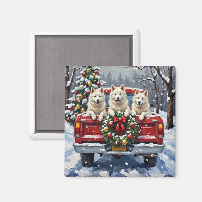 Imán American Eskimo Dog Christmas Red Truck Holiday (Anverso/Reverso)