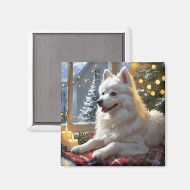 Imán American Eskimo With Christmas Lights Holiday (Anverso/Reverso)