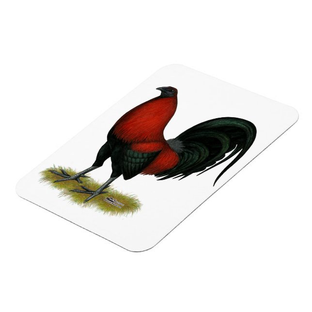 Imán American Game BB Black Red Rooster (Lado Izquierdo)
