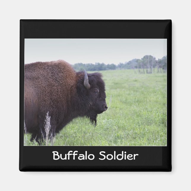 Imán American Plains Buffalo Bison Magnet (Frente)