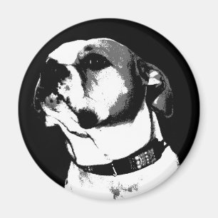 Imán americano del bulldog
