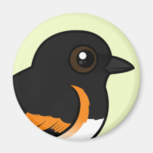 Imán Americano Redstart