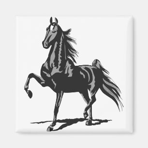 Imán Americano Saddlebred