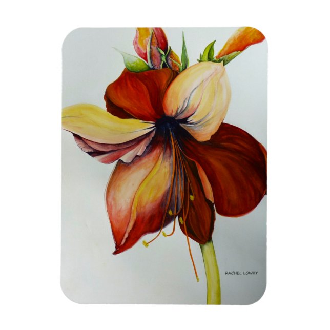 Imán Amerylis 2018 (Vertical)