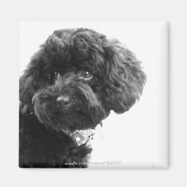 Imán Amigo Adorable