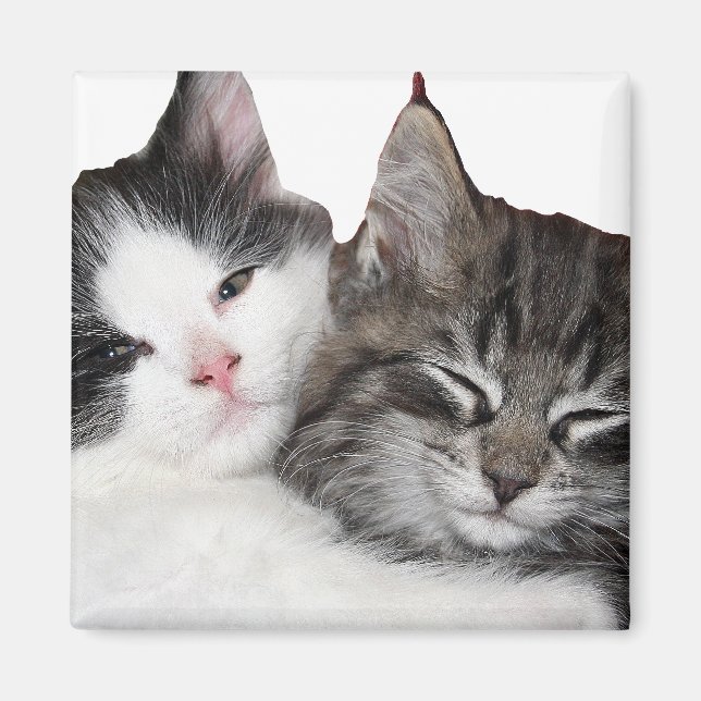 Imán Amigos (Frente)