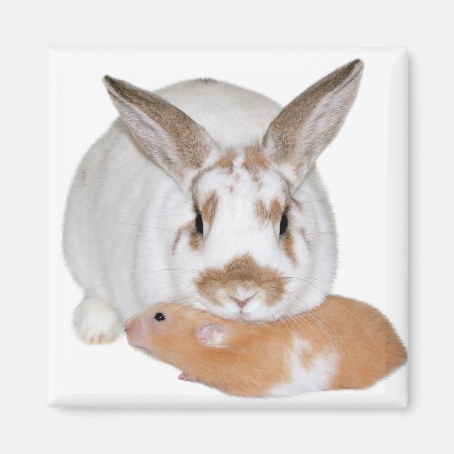 Imán Amigos (Frente)