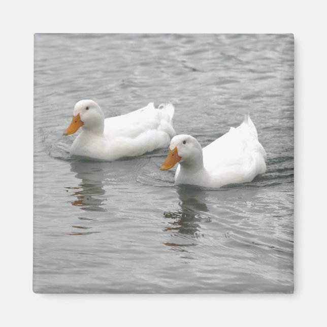 Imán Amigos (Frente)