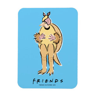 Imán AMIGOS™ Armadillo de vacaciones