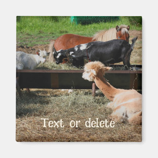 Imán Amigos de animales de granja personalizados