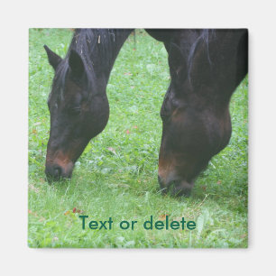 Imán Amigos de caballos atrapando animales personalizad