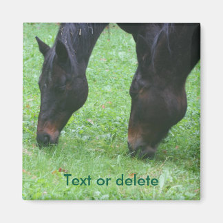 Imán Amigos de caballos atrapando animales personalizad