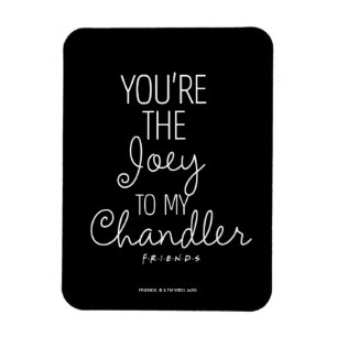 Imán AMIGOS™ Eres el Joey de mi Chandler
