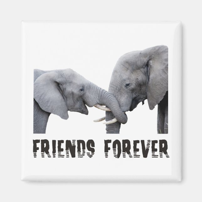Imán Amigos por siempre Elefantes abrazando / besando (Frente)