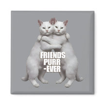 Amigos Purr-Ever