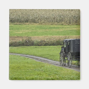 Imán Amish buggy en el carril de la finca, Ohio nororie