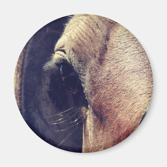 Imán Amish Horse (Frente)