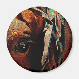 Imán Amish Horse Eye