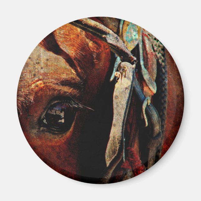 Imán Amish Horse Eye (Frente)