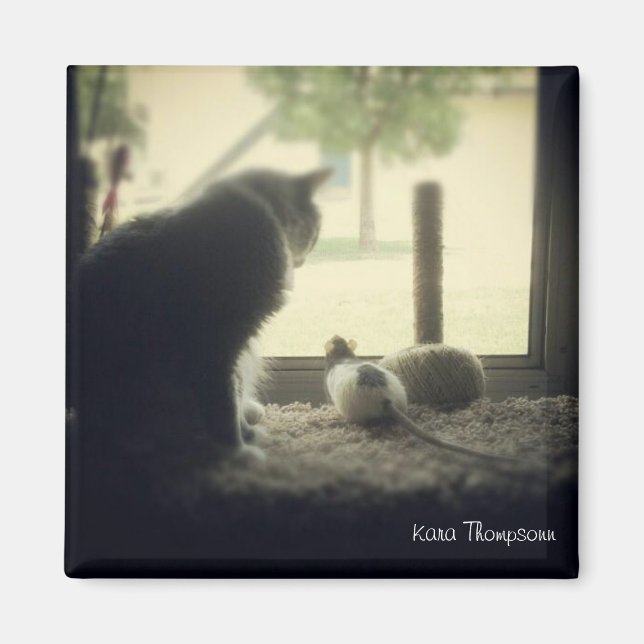 Imán Amistad (Frente)